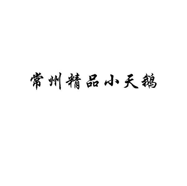 常州精品小天鹅