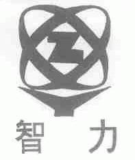 智力