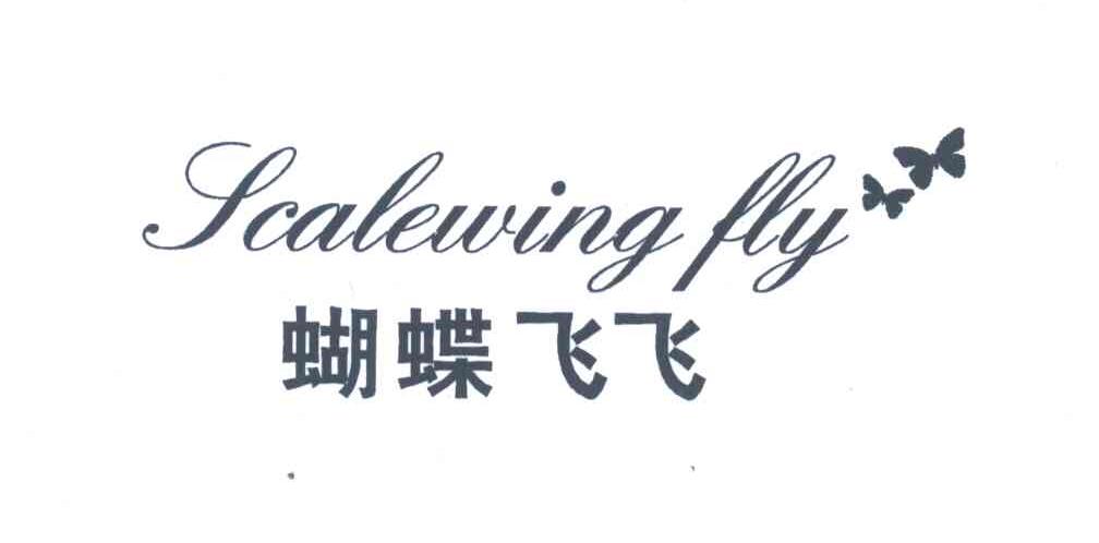 SCALEWING FLY;蝴蝶飞飞