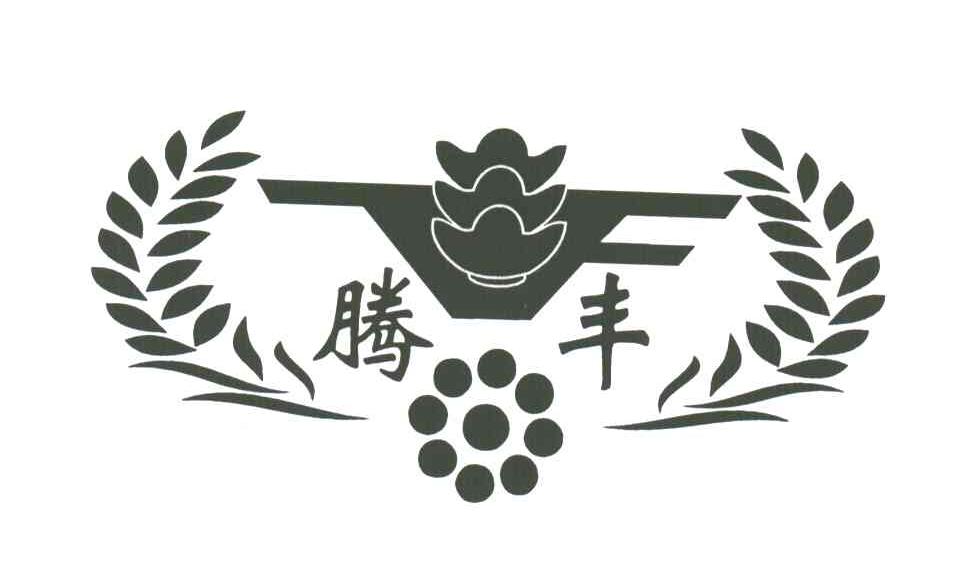 腾丰