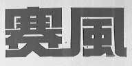 赛风