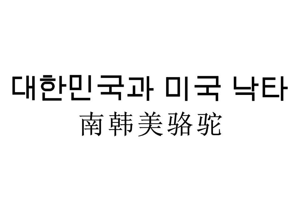 南韩美骆驼