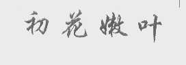 初花嫩叶