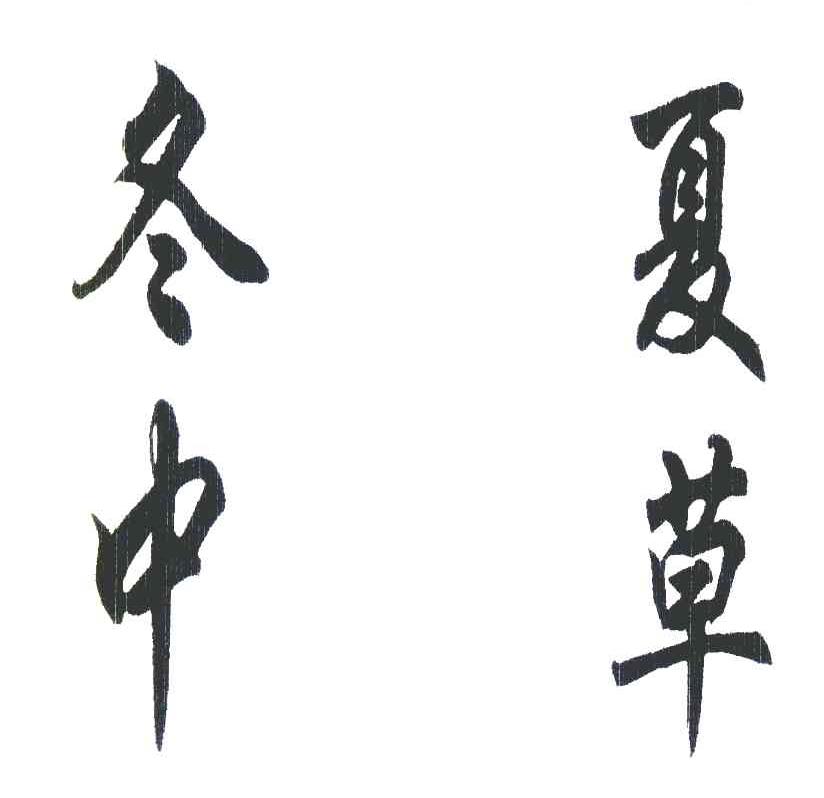 冬夏中草