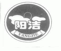 阳洁