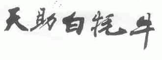 天助白牦牛
