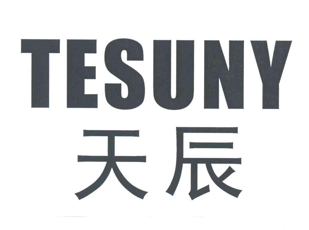 天辰;TESUNY