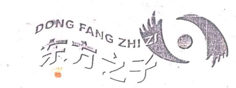 东方之子及图形