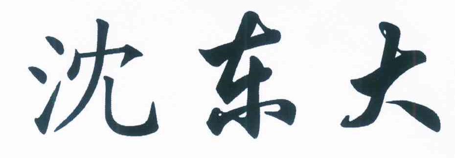 沈东大