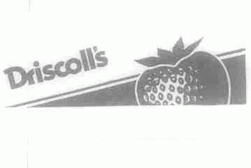 DRISCOLL'S