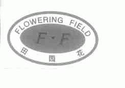 田园花;FLOWERING FIELD