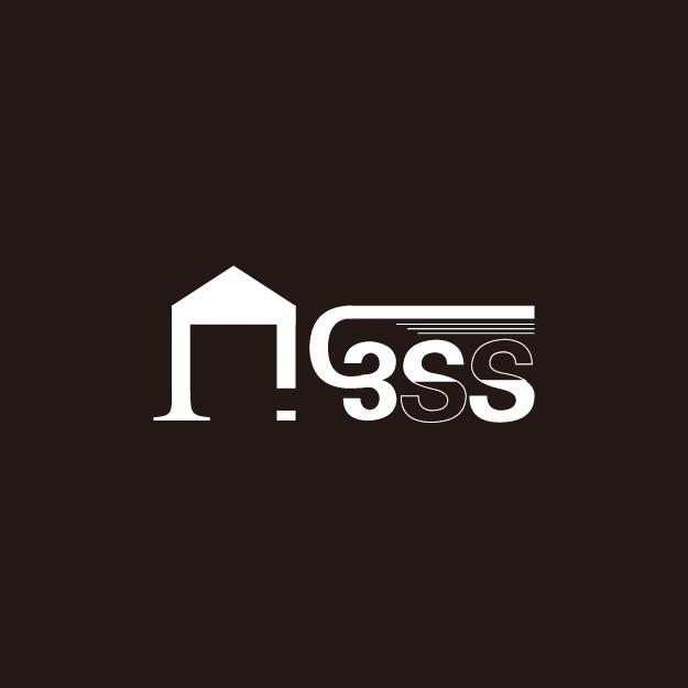 3 SS