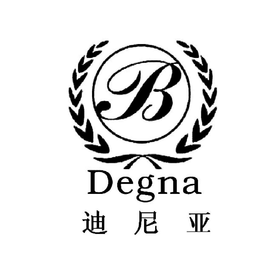 迪尼亚 DEGNA B