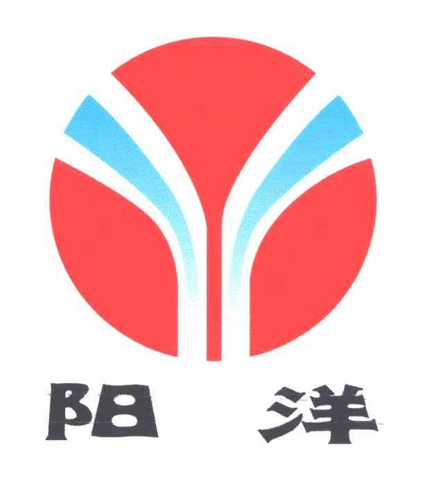 阳洋