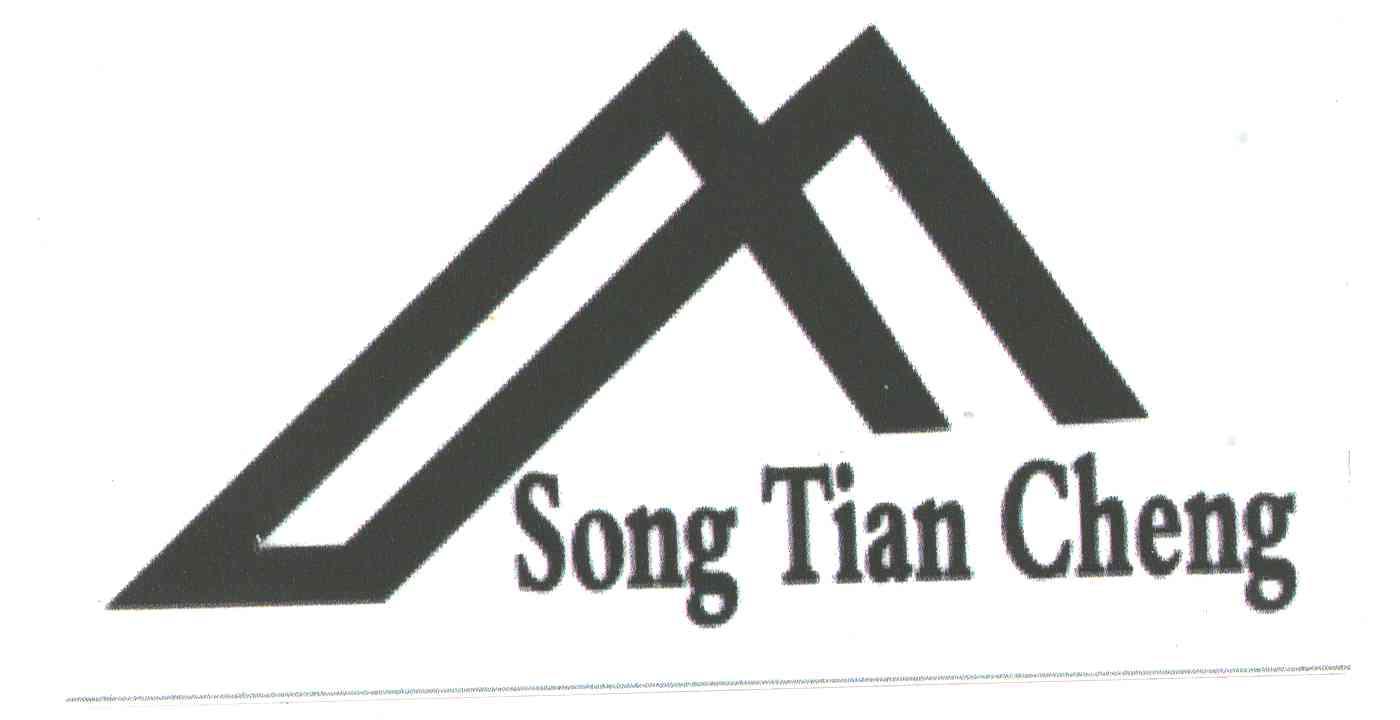 SONG TIAN CHENG