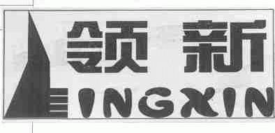 领新