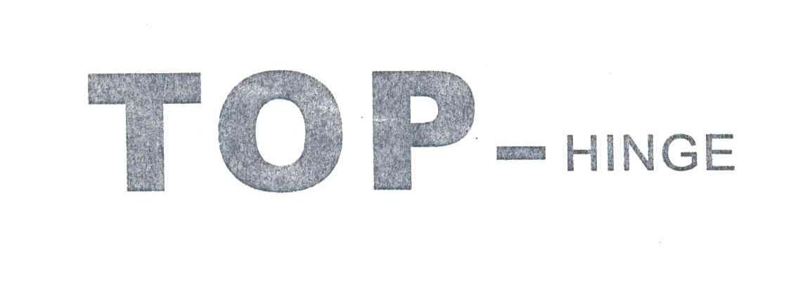 TOP HINGE