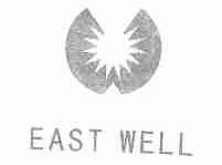 EAST WELL