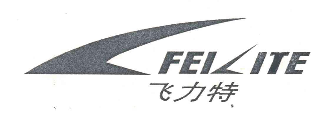 飞力特