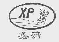 鑫蒲