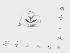 新蕾