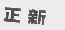 正新