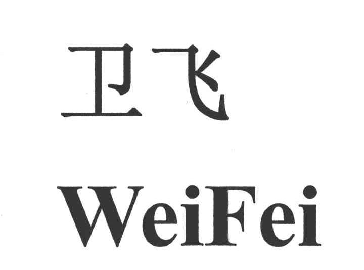 卫飞