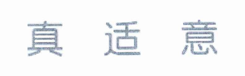 真适意
