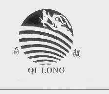 奇龙