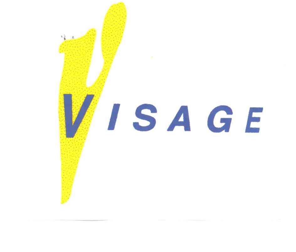 VISAGE