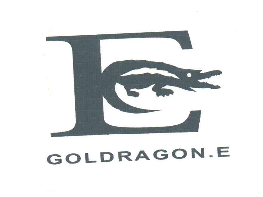 GOLDRAGON E及图