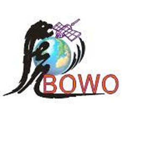 BOWO 彪