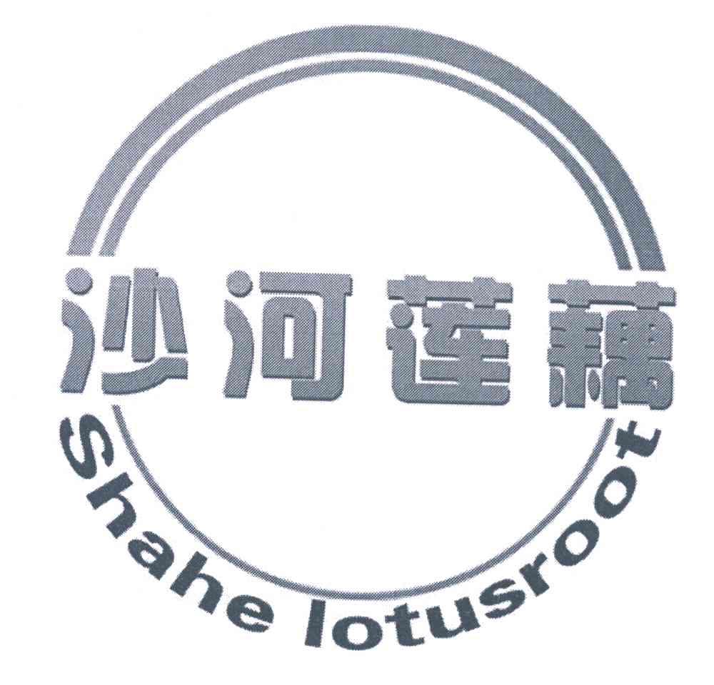 沙河莲藕 SHAHE LOTUSROOT