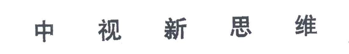 中视新思维