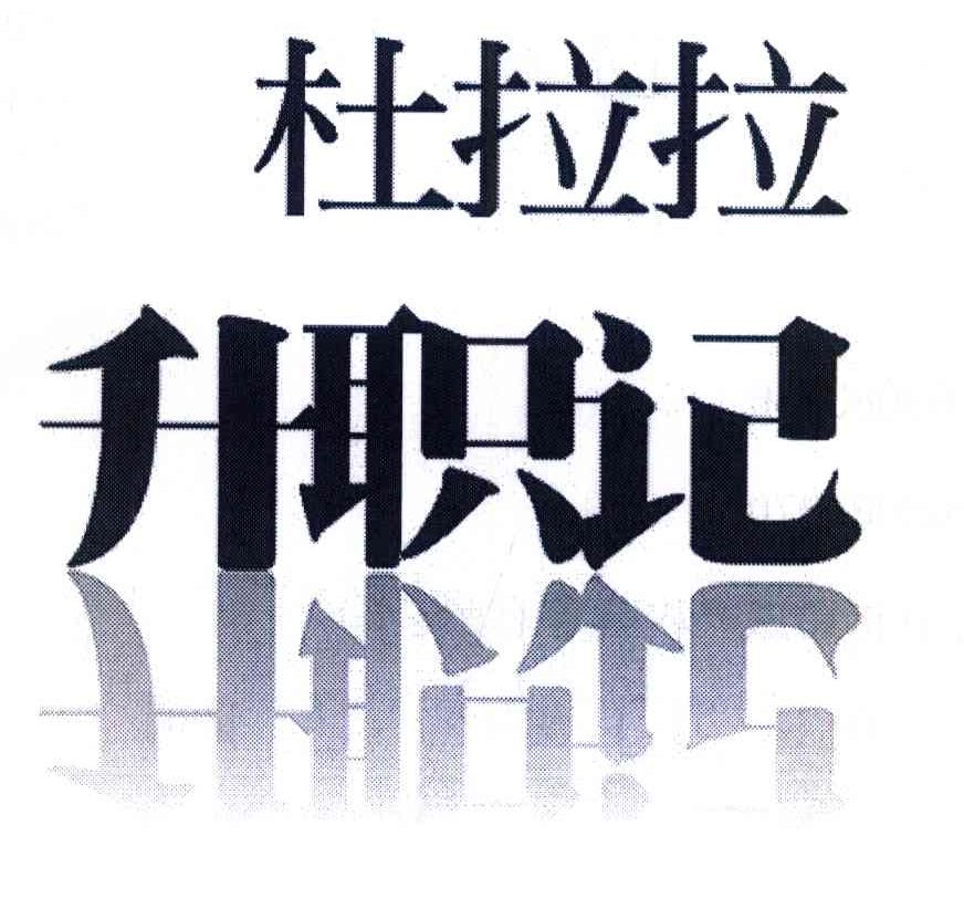 杜拉拉 升职记
