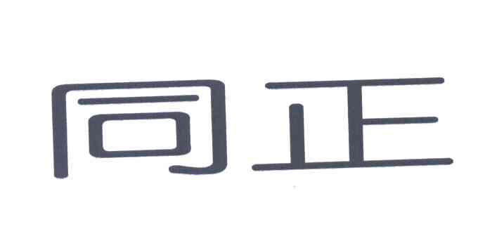 同正