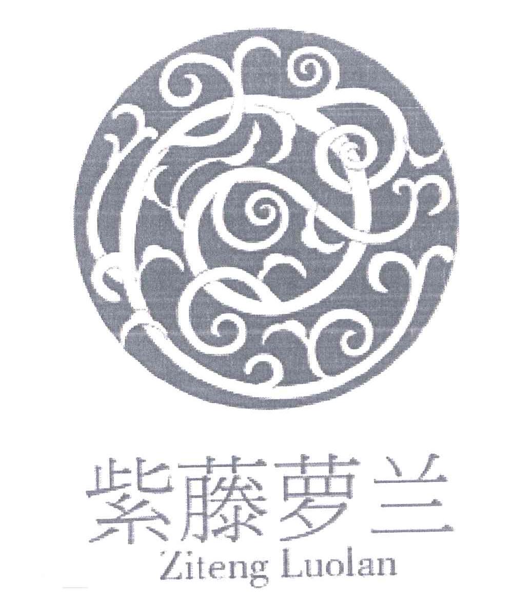 紫藤萝兰