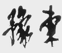 豫东