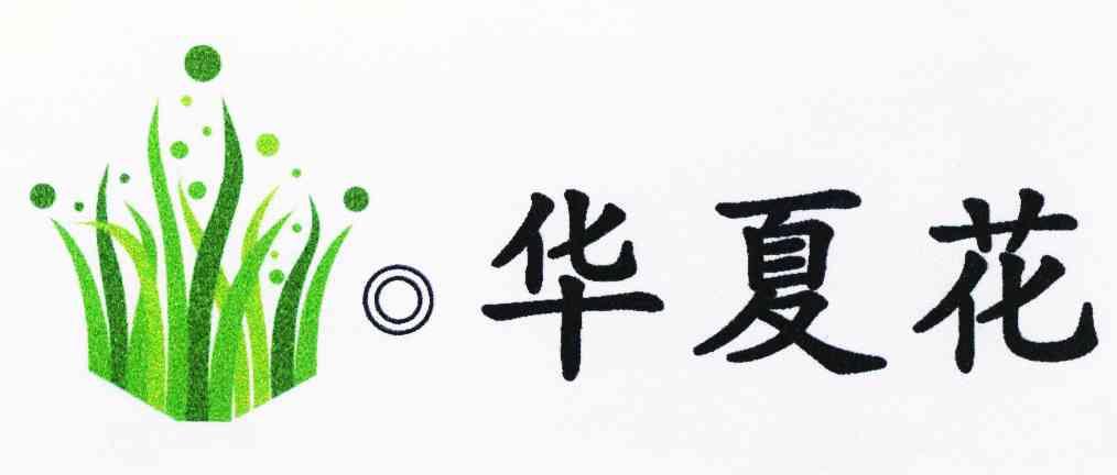 华夏花