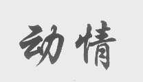 动情