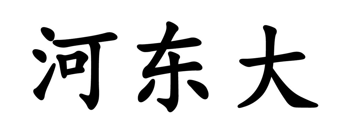 河东大