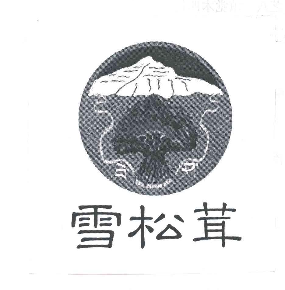 雪松茸