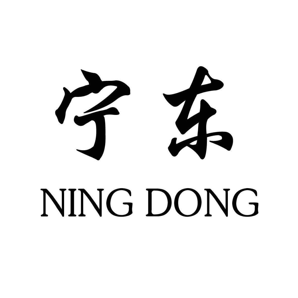 宁东