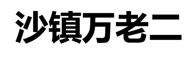 沙镇万老二