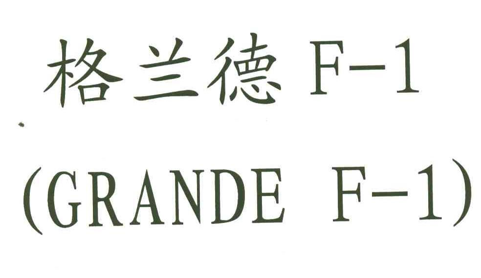 格兰德F-1;GRANDE F-1