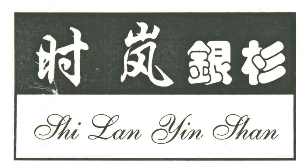 时岚银杉