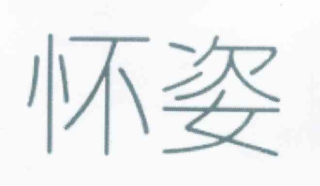 怀姿