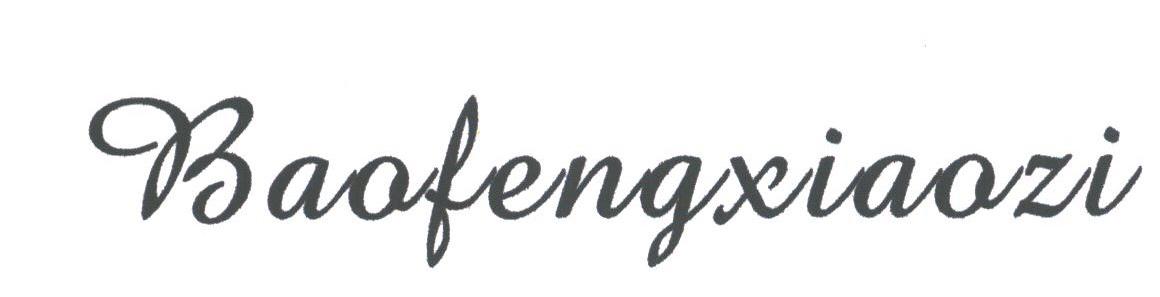 BAOFENGXIAOZI