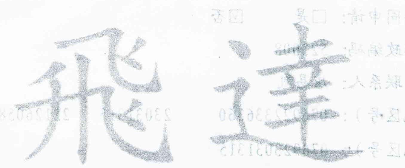 飞达