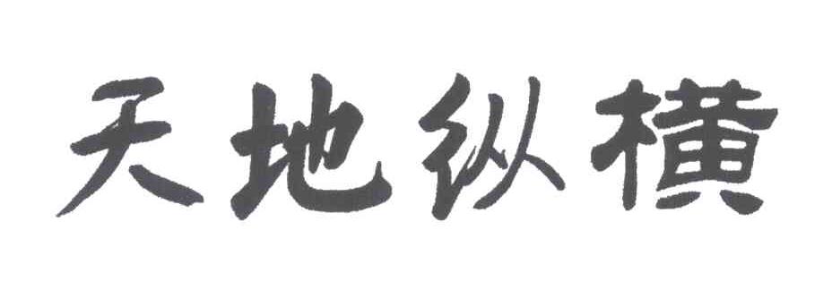 天地纵横